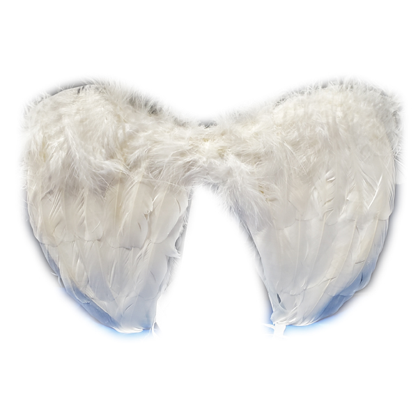 costume-accessories-wings-feathers-angel-white-22