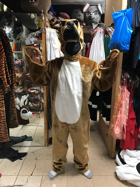 27_mascot_costume_open_face_bulldog