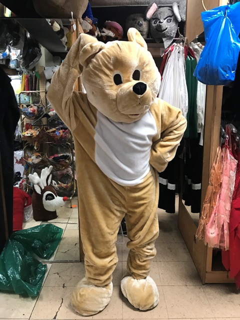 adult-mascot-rental-costume-animal-bear-honey-2