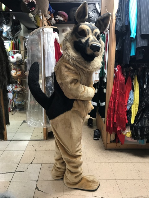 adult-mascot-rental-costume-animal-german-shepherd-side