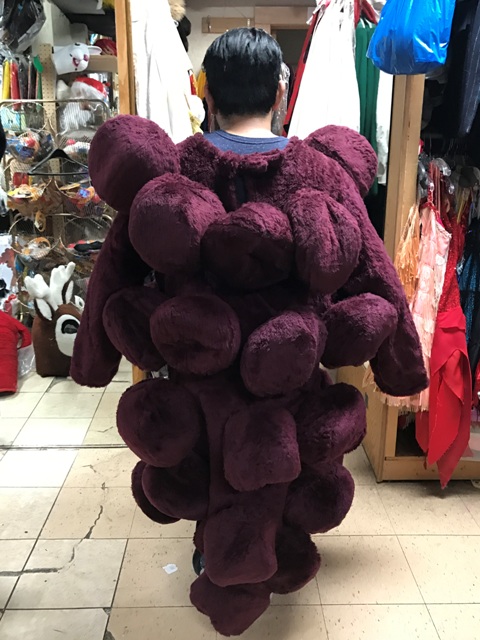 adult-mascot-rental-costume-food-grapes-back